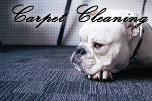 Commercial Carpet Cleaning